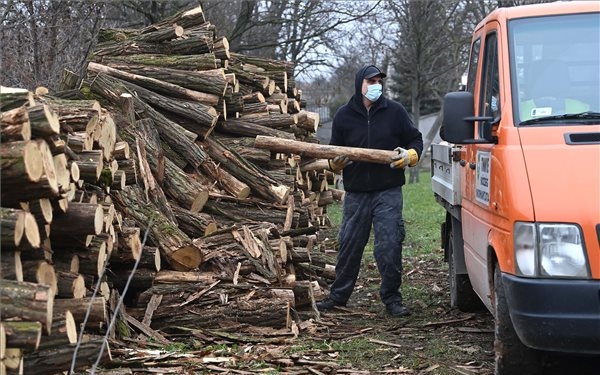 Számottevően tisztult a tűzifahirdetések piaca